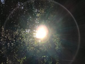 今年一年ご愛顧いただき誠にありがとうございます 今年一年ご愛顧いただき誠にありがとうございます