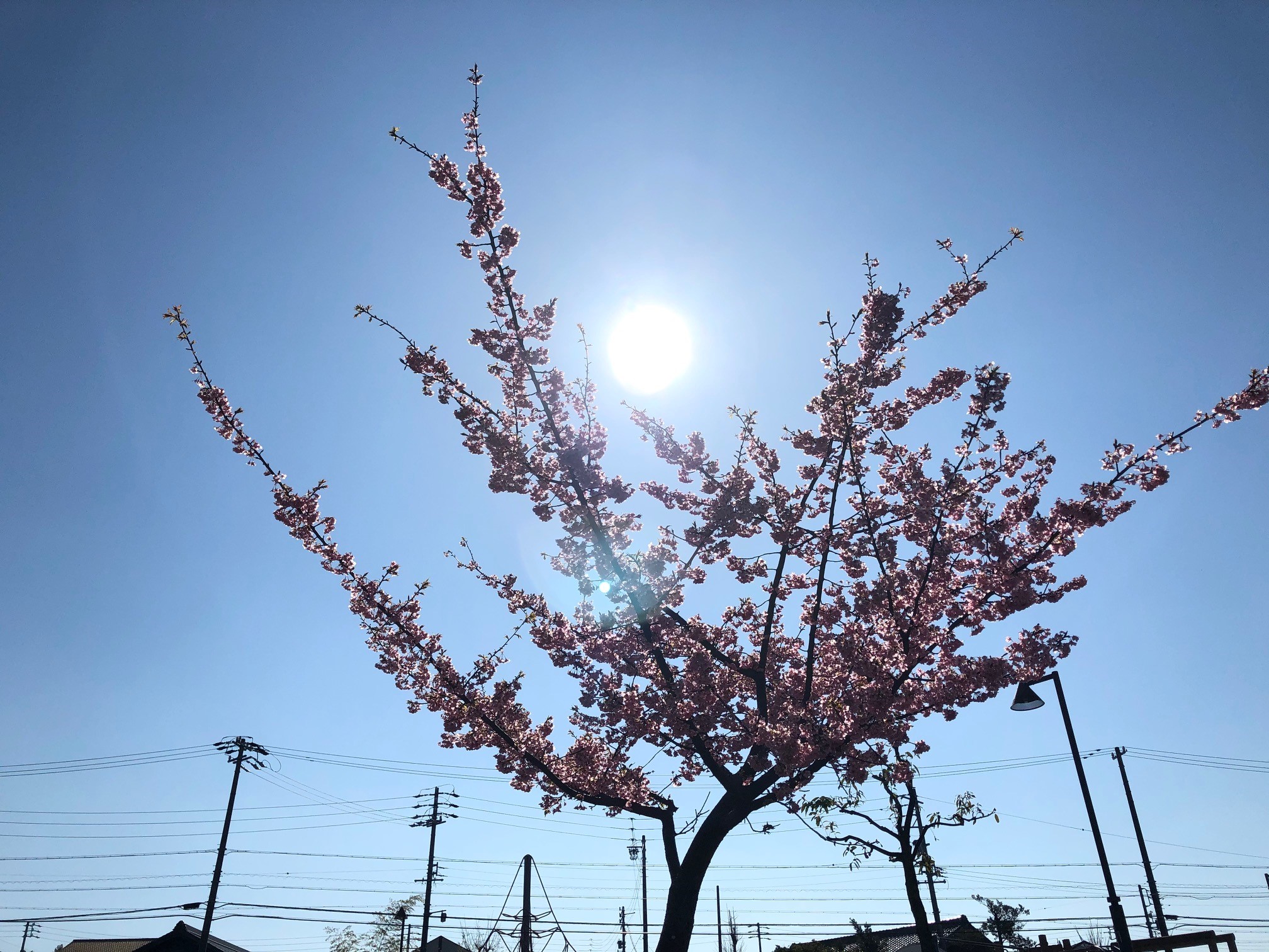 3月12日(木曜日)も10時~20時まで営業してます(´▽`*)/ペアでのご予約OK♪♪
