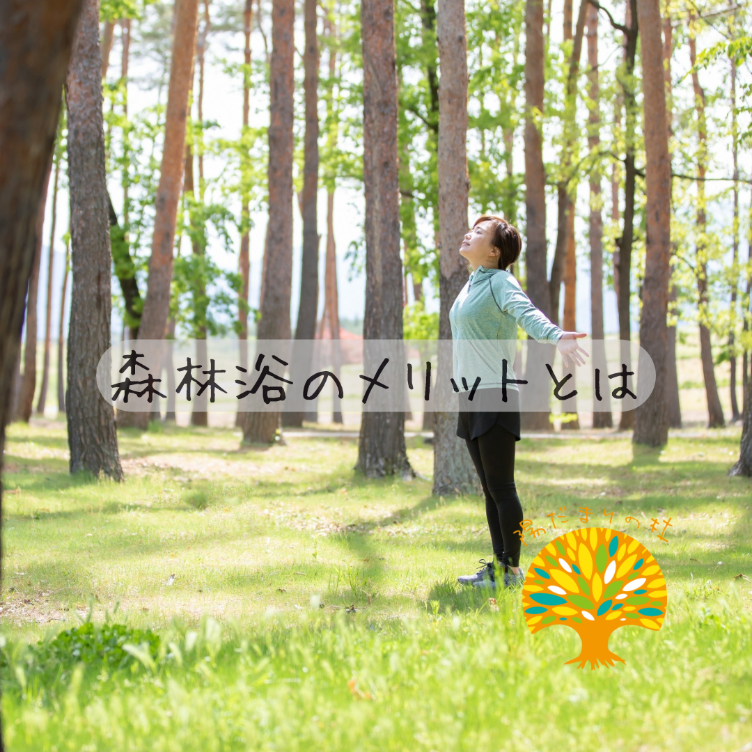 森林浴のメリットとは