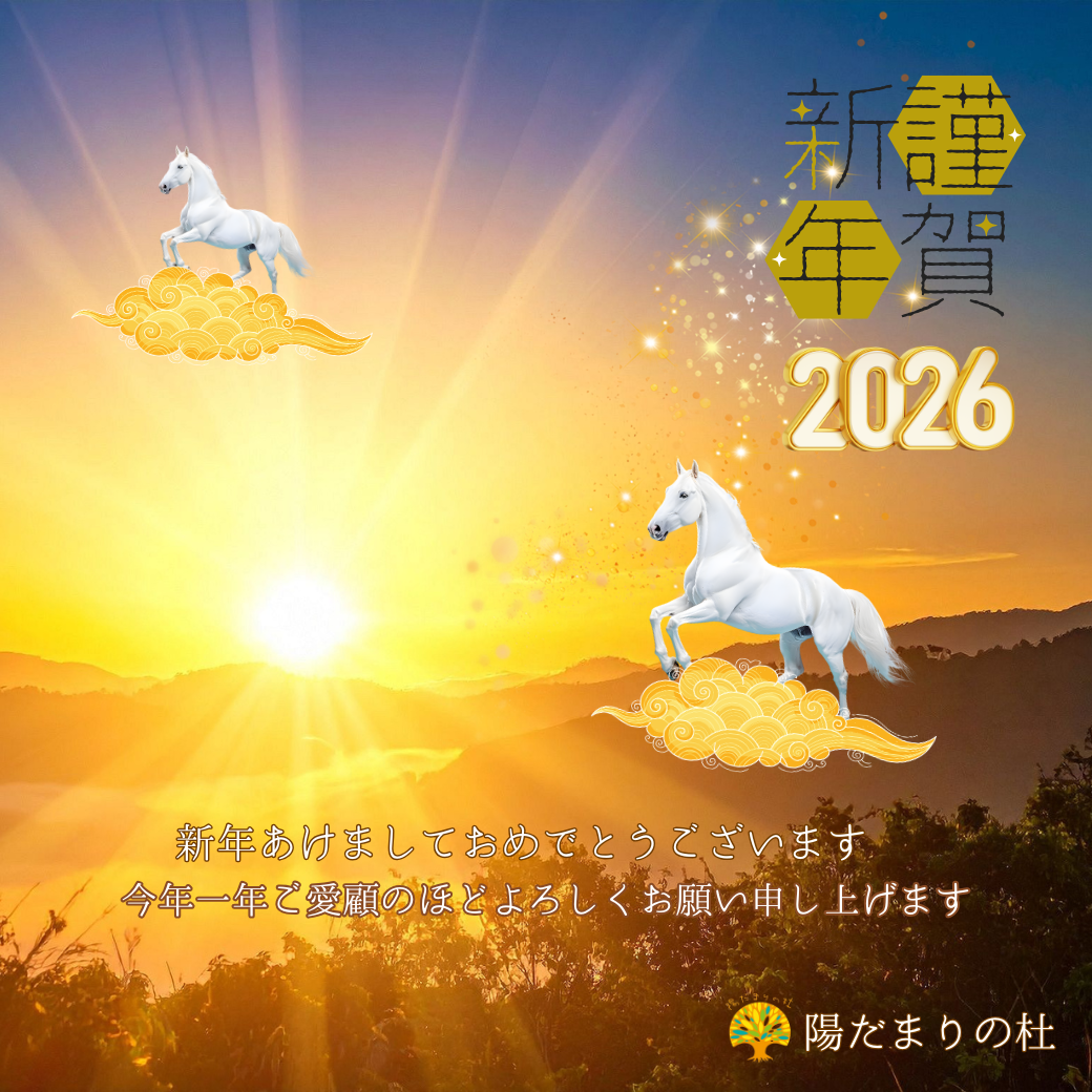 新年あけましておめでとうございます✨